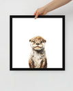 Black / 16″×16″