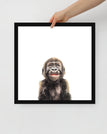 Black / 16″×16″