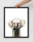 Black / 16″×20″