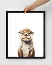 Black / 16″×20″