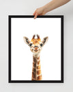 Black / 16″×20″