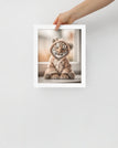 White / 8″×10″