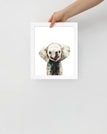White / 8″×10″