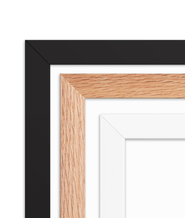 <h2>Step 2: Pick frame color</h2>